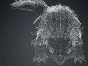 DINOSAUR DOWNLOAD SPINEYLIZARD 3D MODEL REPTILE EVIL MONSTER SPINEYLIZARD ANIMATED PREHISTORIC 3D Model