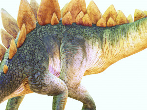 DINOSAUR DOWNLOAD STEGOSAURUS 3D MODEL STEGOSAURUS DINOSAUR DINOSAUR 3D RAPTOR monster 3D Model