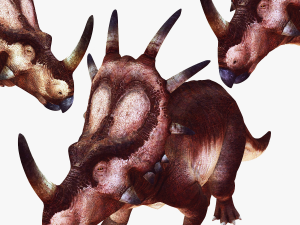 DINOSAUR DOWNLOAD STYRACOSAURUS 3D MODEL STYRACOSAURUS RAPTOR STYRACOSAURUS DINOSAUR REPTILE 3D-Modell