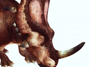 DINOSAURO SCARICA STYRACOSAURUS MODELLO 3D STYRACOSAURUS RAPTOR STYRACOSAURUS DINOSAURO RETTILE Modello 3D