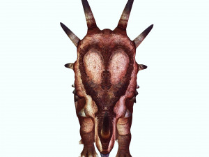 DINOSAUR DOWNLOAD STYRACOSAURUS 3D MODEL STYRACOSAURUS RAPTOR STYRACOSAURUS DINOSAUR REPTILE 3D Модель