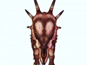 DINOSAURO SCARICA STYRACOSAURUS MODELLO 3D STYRACOSAURUS RAPTOR STYRACOSAURUS DINOSAURO RETTILE Modello 3D