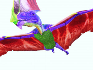 DINOSAUR DOWNLOAD TAPEJARA 3D MODEL TAPEJARA BIRD TAPEJARA RAPTOR DINOSAUR RAPTOR TAPEJAR MONSTER 3D 模型