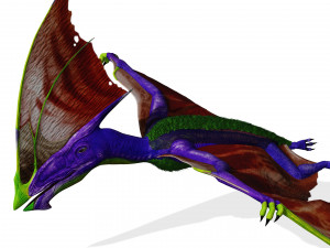 DINOSAUR DOWNLOAD TAPEJARA 3D MODEL TAPEJARA BIRD TAPEJARA RAPTOR DINOSAUR RAPTOR TAPEJAR MONSTER 3D 模型