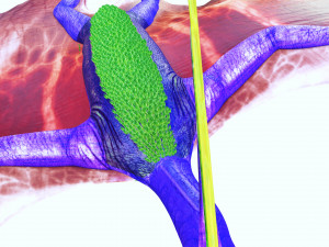 DINOSAUR DOWNLOAD TAPEJARA 3D MODEL TAPEJARA BIRD TAPEJARA RAPTOR DINOSAUR RAPTOR TAPEJAR MONSTER 3D 模型