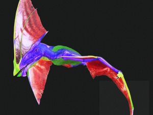 DINOSAUR DOWNLOAD TAPEJARA 3D MODEL TAPEJARA BIRD TAPEJARA RAPTOR DINOSAUR RAPTOR TAPEJAR MONSTER 3D 模型