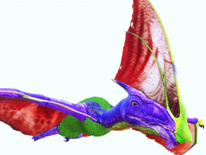 DINOSAUR DOWNLOAD TAPEJARA 3D MODEL TAPEJARA BIRD TAPEJARA RAPTOR DINOSAUR RAPTOR TAPEJAR MONSTER 3D 模型