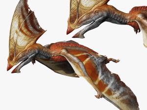 TAPEJARA TAPEJARA MONSTER TAPEJARA TAPEJARA DINOSAUR BIRD EVIL TAPEJARA DINOSAUR DINOSAUR JURASSIC 3D-Modell