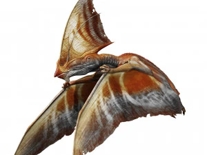 TAPEJARA TAPEJARA MONSTER TAPEJARA TAPEJARA DINOSAUR BIRD EVIL TAPEJARA DINOSAUR DINOSAUR JURASSIC 3D Model