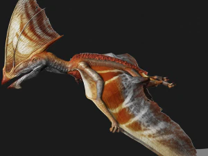 TAPEJARA TAPEJARA MONSTER TAPEJARA TAPEJARA DINOSAUR BIRD EVIL TAPEJARA DINOSAUR DINOSAUR JURASSIC 3D Model