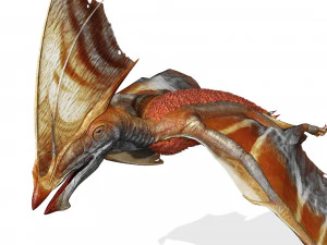 TAPEJARA TAPEJARA MONSTER TAPEJARA TAPEJARA DINOSAUR BIRD EVIL TAPEJARA DINOSAUR DINOSAUR JURASSIC 3D Model