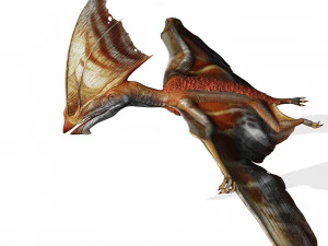 TAPEJARA TAPEJARA MONSTER TAPEJARA TAPEJARA DINOSAUR BIRD EVIL TAPEJARA DINOSAUR DINOSAUR JURASSIC 3D Model