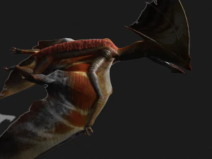 TAPEJARA TAPEJARA MONSTER TAPEJARA TAPEJARA DINOSAUR BIRD EVIL TAPEJARA DINOSAUR DINOSAUR JURASSIC 3D Model