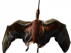 TAPEJARA TAPEJARA MONSTER TAPEJARA TAPEJARA DINOSAUR BIRD EVIL TAPEJARA DINOSAUR DINOSAUR JURASSIC 3D-Modell