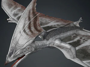 TAPEJARA TAPEJARA MONSTER TAPEJARA TAPEJARA DINOSAUR BIRD EVIL TAPEJARA DINOSAUR DINOSAUR JURASSIC 3D Model