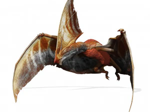 TAPEJARA TAPEJARA MONSTER TAPEJARA TAPEJARA DINOSAUR BIRD EVIL TAPEJARA DINOSAUR DINOSAUR JURASSIC 3D Model