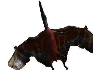 TAPEJARA TAPEJARA MONSTER TAPEJARA TAPEJARA DINOSAUR BIRD EVIL TAPEJARA DINOSAUR DINOSAUR JURASSIC 3D Model