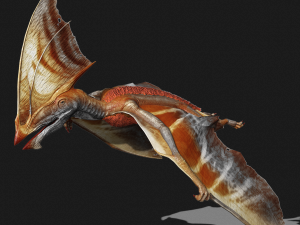 TAPEJARA TAPEJARA MONSTER TAPEJARA TAPEJARA DINOSAUR BIRD EVIL TAPEJARA DINOSAUR DINOSAUR JURASSIC 3D-Modell