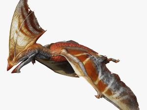 TAPEJARA TAPEJARA MONSTER TAPEJARA TAPEJARA DINOSAUR BIRD EVIL TAPEJARA DINOSAUR DINOSAUR JURASSIC 3D Model