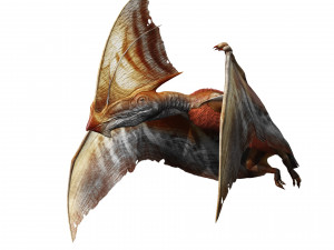 TAPEJARA TAPEJARA MONSTER TAPEJARA TAPEJARA DINOSAUR BIRD EVIL TAPEJARA DINOSAUR DINOSAUR JURASSIC 3D-Modell