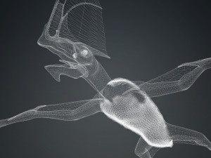 TAPEJARA TAPEJARA MONSTER TAPEJARA TAPEJARA DINOSAUR BIRD EVIL TAPEJARA DINOSAUR DINOSAUR JURASSIC 3D-Modell