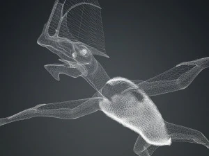 TAPEJARA TAPEJARA MONSTER TAPEJARA TAPEJARA DINOSAUR BIRD EVIL TAPEJARA DINOSAUR DINOSAUR JURASSIC 3D Model