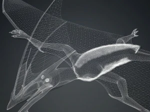 TAPEJARA TAPEJARA MONSTER TAPEJARA TAPEJARA DINOSAUR BIRD EVIL TAPEJARA DINOSAUR DINOSAUR JURASSIC 3D Model