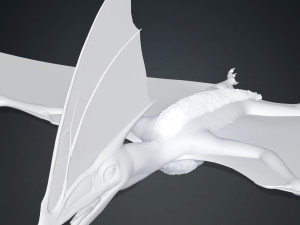 TAPEJARA TAPEJARA MONSTER TAPEJARA TAPEJARA DINOSAUR BIRD EVIL TAPEJARA DINOSAUR DINOSAUR JURASSIC 3D-Modell