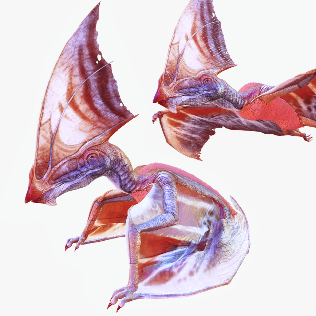 TAPEJARA MONSTER TAPEJARA TAPEJARA DINOSAUR BIRD EVIL TAPEJARA DINOSAUR DINOSAUR JURASSIC Low-poly 3D Model .c4d .max .obj .3ds .fbx .stl .blend 