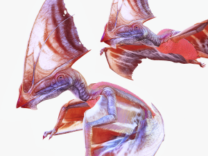 TAPEJARA MONSTER TAPEJARA TAPEJARA DINOSAUR BIRD EVIL TAPEJARA DINOSAUR DINOSAUR JURASSIC Low-poly 3D-Modell
