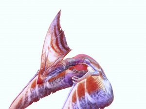 TAPEJARA MONSTER TAPEJARA TAPEJARA DINOSAUR BIRD EVIL TAPEJARA DINOSAUR DINOSAUR JURASSIC Low-poly 3D Model