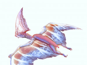 TAPEJARA MONSTER TAPEJARA TAPEJARA DINOSAUR BIRD EVIL TAPEJARA DINOSAUR DINOSAUR JURASSIC Low-poly 3D Model