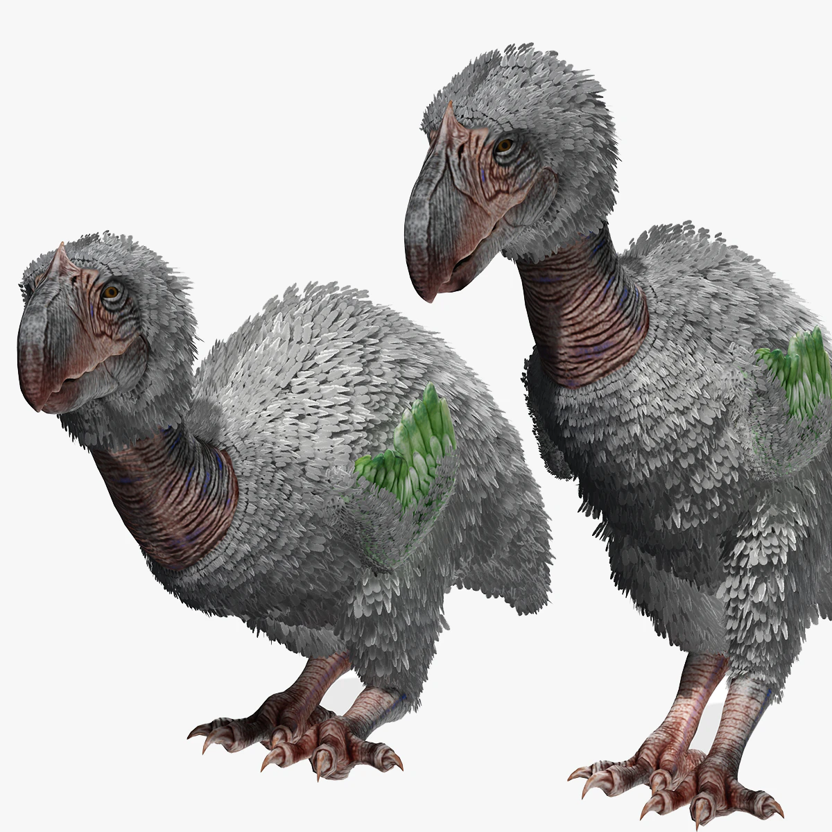 AVES DE PRESA TERROR HORROR DEM&Ocirc;NIO DIABO RAPTOR ASAS DE DINOSSAURO VOANDO PR&Eacute;-HIST&Oacute;RICO CHARIZARD CHARIZARD Modelo 3D .c4d .max .obj .3ds .fbx .stl .blend 