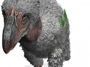 AVES DE PRESA TERROR HORROR DEM&Ocirc;NIO DIABO RAPTOR ASAS DE DINOSSAURO VOANDO PR&Eacute;-HIST&Oacute;RICO CHARIZARD CHARIZARD Modelo 3D