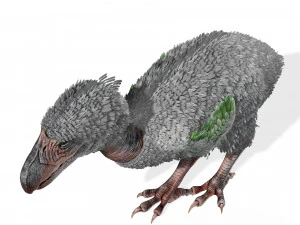 AVES DE PRESA TERROR HORROR DEM&Ocirc;NIO DIABO RAPTOR ASAS DE DINOSSAURO VOANDO PR&Eacute;-HIST&Oacute;RICO CHARIZARD CHARIZARD Modelo 3D