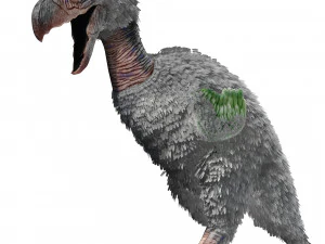 AVES DE PRESA TERROR HORROR DEM&Ocirc;NIO DIABO RAPTOR ASAS DE DINOSSAURO VOANDO PR&Eacute;-HIST&Oacute;RICO CHARIZARD CHARIZARD Modelo 3D