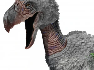 AVES DE PRESA TERROR HORROR DEM&Ocirc;NIO DIABO RAPTOR ASAS DE DINOSSAURO VOANDO PR&Eacute;-HIST&Oacute;RICO CHARIZARD CHARIZARD Modelo 3D
