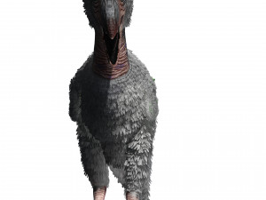 BIRD OF PREY TERROR HORROR DEMON DEVIL RAPTOR DINOSAUR WINGS FLYING PREHISTORIC CHARIZARD CHARIZAR Modelo 3D