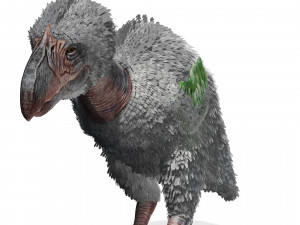 BIRD OF PREY TERROR HORROR DEMON DEVIL RAPTOR DINOSAUR WINGS FLYING PREHISTORIC CHARIZARD CHARIZAR Modelo 3D