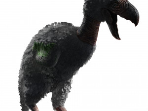 BIRD OF PREY TERROR HORROR DEMON DEVIL RAPTOR DINOSAUR WINGS FLYING PREHISTORIC CHARIZARD CHARIZAR Modelo 3D