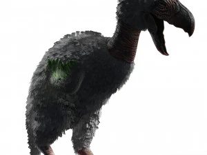 AVES DE PRESA TERROR HORROR DEM&Ocirc;NIO DIABO RAPTOR ASAS DE DINOSSAURO VOANDO PR&Eacute;-HIST&Oacute;RICO CHARIZARD CHARIZARD Modelo 3D