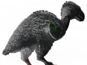 AVES DE PRESA TERROR HORROR DEM&Ocirc;NIO DIABO RAPTOR ASAS DE DINOSSAURO VOANDO PR&Eacute;-HIST&Oacute;RICO CHARIZARD CHARIZARD Modelo 3D