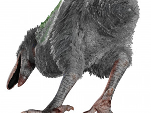 BIRD OF PREY TERROR HORROR DEMON DEVIL RAPTOR DINOSAUR WINGS FLYING PREHISTORIC CHARIZARD CHARIZAR Modelo 3D