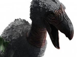 AVES DE PRESA TERROR HORROR DEM&Ocirc;NIO DIABO RAPTOR ASAS DE DINOSSAURO VOANDO PR&Eacute;-HIST&Oacute;RICO CHARIZARD CHARIZARD Modelo 3D