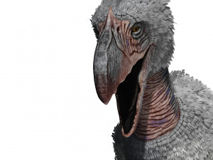BIRD OF PREY TERROR HORROR DEMON DEVIL RAPTOR DINOSAUR WINGS FLYING PREHISTORIC CHARIZARD CHARIZAR Modelo 3D