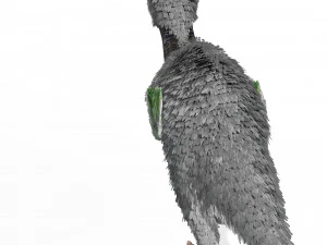 AVES DE PRESA TERROR HORROR DEM&Ocirc;NIO DIABO RAPTOR ASAS DE DINOSSAURO VOANDO PR&Eacute;-HIST&Oacute;RICO CHARIZARD CHARIZARD Modelo 3D