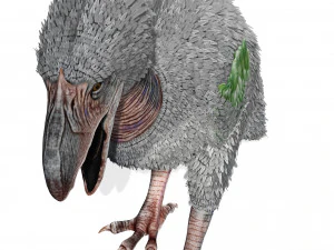 AVES DE PRESA TERROR HORROR DEM&Ocirc;NIO DIABO RAPTOR ASAS DE DINOSSAURO VOANDO PR&Eacute;-HIST&Oacute;RICO CHARIZARD CHARIZARD Modelo 3D