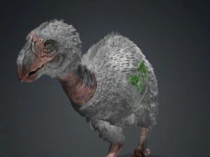 AVES DE PRESA TERROR HORROR DEM&Ocirc;NIO DIABO RAPTOR ASAS DE DINOSSAURO VOANDO PR&Eacute;-HIST&Oacute;RICO CHARIZARD CHARIZARD Modelo 3D