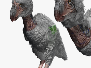 BIRD OF PREY TERROR HORROR DEMON DEVIL RAPTOR DINOSAUR WINGS FLYING PREHISTORIC CHARIZARD CHARIZAR Modelo 3D