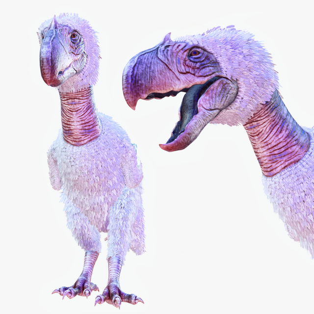 BIRD OF PREY TERROR HORROR DEMON DEVIL RAPTOR DINOSAUR EVIL FLYING PREHISTORIC CHARIZARD TERROR Modelo 3D .c4d .max .obj .3ds .fbx .stl .blend 